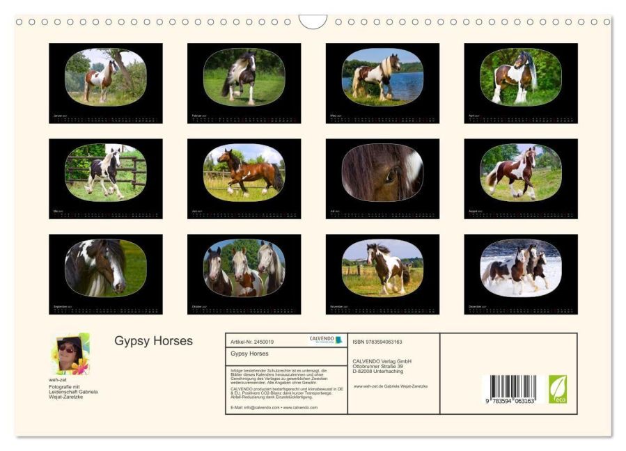 InsideView 5