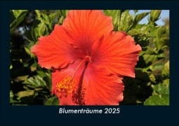 Cover-Bild zum Titel 'Blumenträume 2025 Fotokalender DIN A5' von 'Tobias Becker'