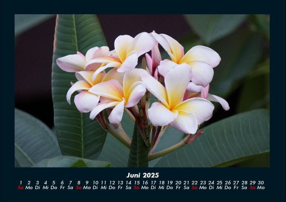 InsideView 10