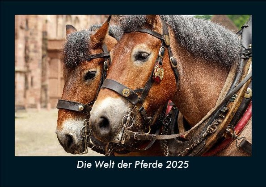Die Welt der Pferde 2025 Fotokalender DIN A5 - Tobias Becker
