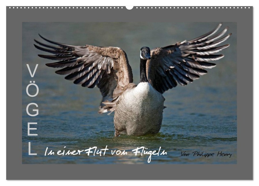 VÖGEL (Wandkalender 2026 DIN A2 quer), CALVENDO Monatskalender - Philippe Henry