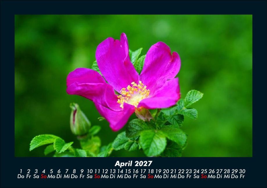 InsideView 8