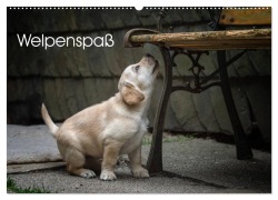Welpenspaß (Wandkalender 2026 DIN A2 quer), CALVENDO Monatskalender - Claudia Pelzer (Pelzer-Photography)