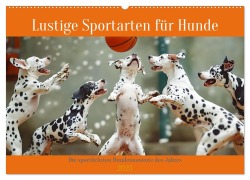 Lustige Sportarten für Hunde (Wandkalender 2025 DIN A2 quer), CALVENDO Monatskalender - Daniela Tapper