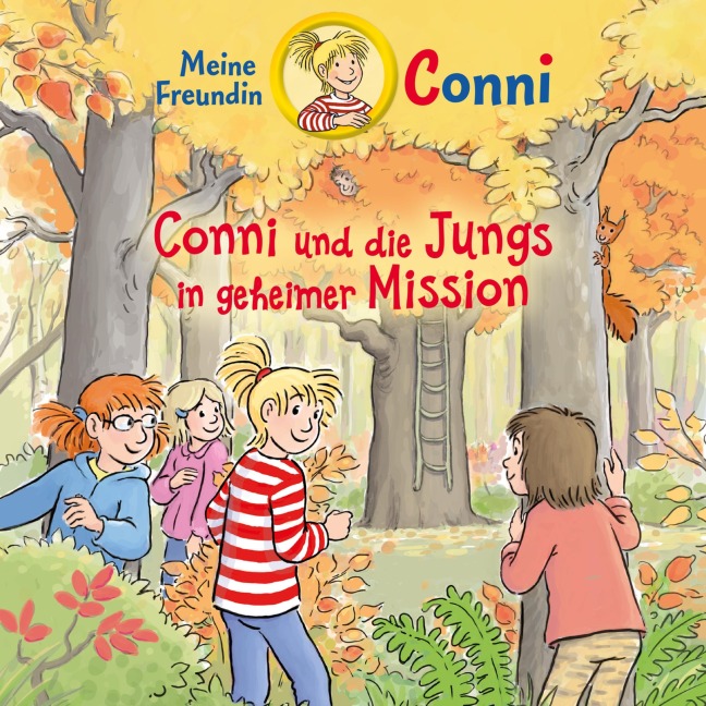 Conni und die Jungs in geheimer Mission - Julia Boehme