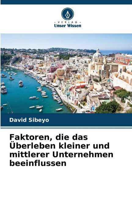 Faktoren, die das Überleben kleiner und mittlerer Unternehmen beeinflussen - David Sibeyo
