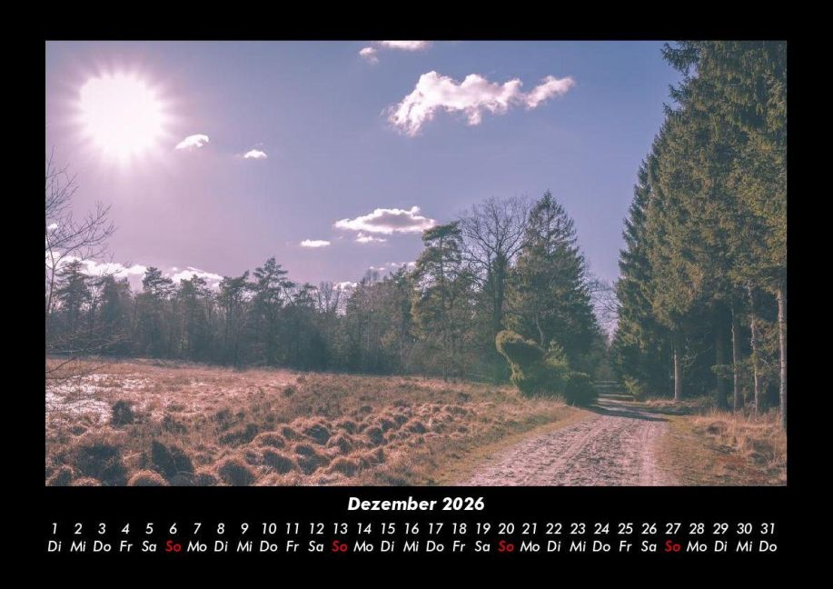 InsideView 4