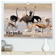 Cover-Bild zum Titel 'Strauße. Afrikas schöne Laufvögel (hochwertiger Premium Wandkalender 2026 DIN A2 quer), Kunstdruck in Hochglanz' von 'Elisabeth Stanzer'