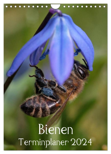 Bienen-Terminplaner 2024 (Wandkalender 2024 DIN A4 hoch), CALVENDO Monatskalender - Silvia Hahnefeld
