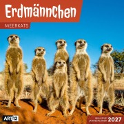 Cover-Bild zum Titel 'Erdmännchen Kalender 2027 - 30x30 - Art12' von 'Ackermann Kunstverlag GmbH'