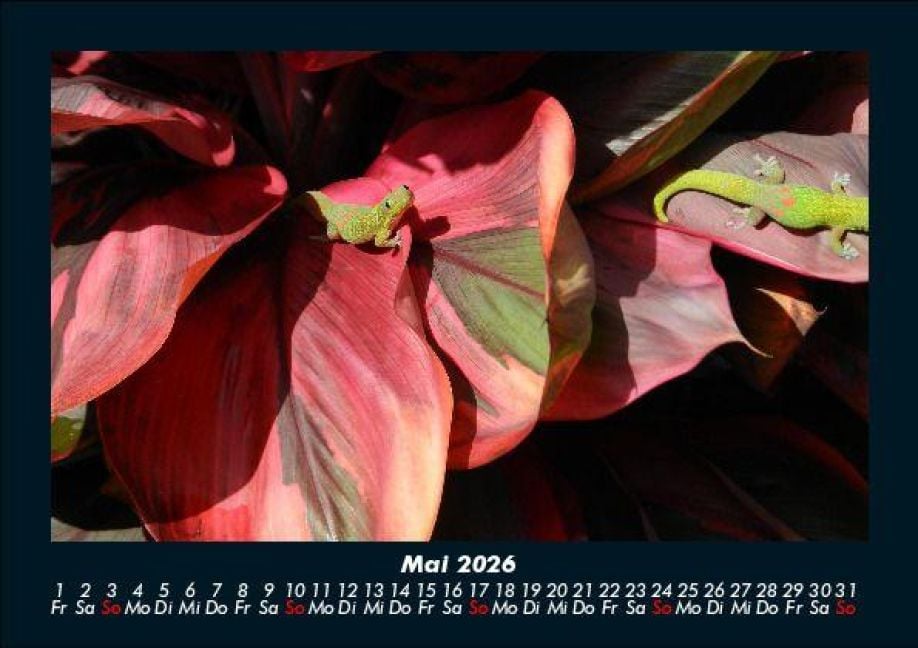 InsideView 9