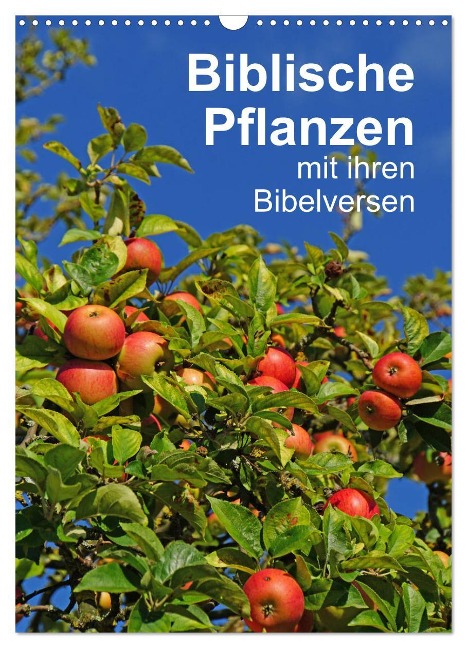 Biblische Pflanzen mit ihren Bibelversen (Wandkalender 2025 DIN A3 hoch), CALVENDO Monatskalender - Hans-Georg Vorndran