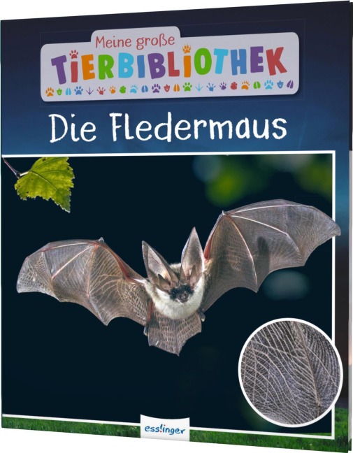 Meine große Tierbibliothek: Die Fledermaus - Jens Poschadel, Antje Möller