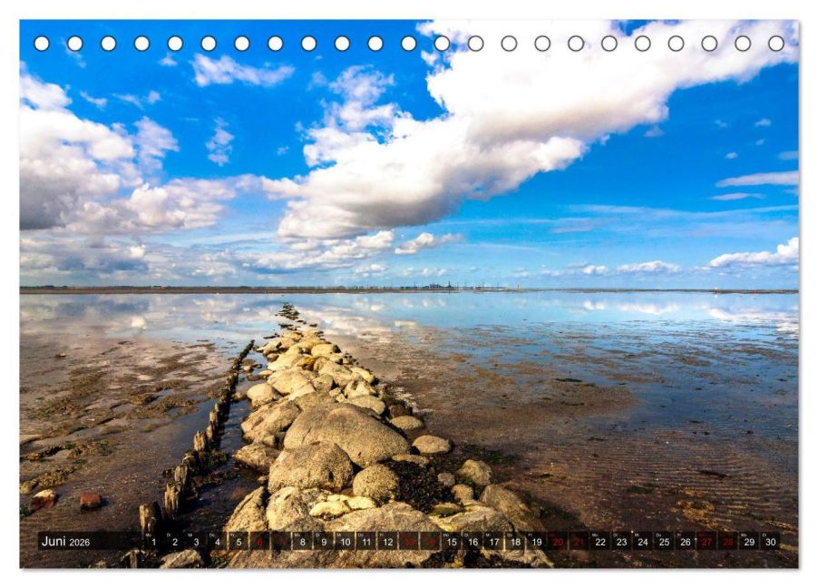 InsideView 11