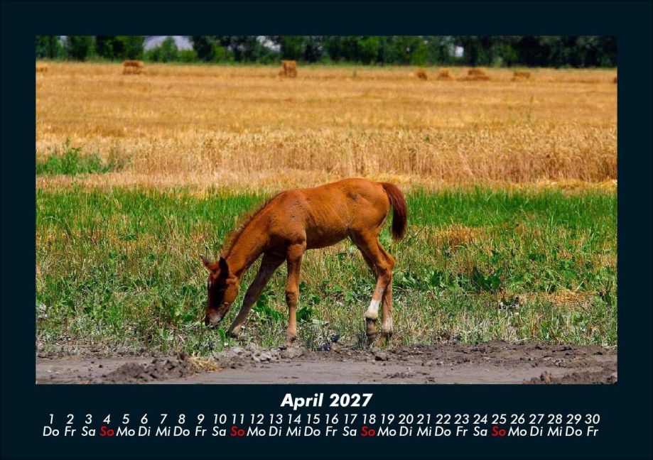 InsideView 8