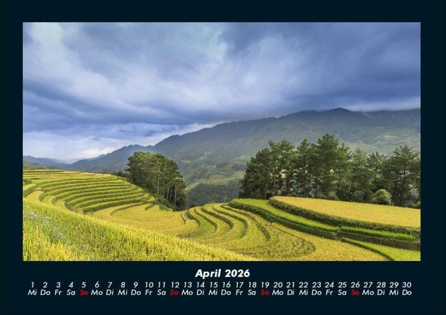 InsideView 8