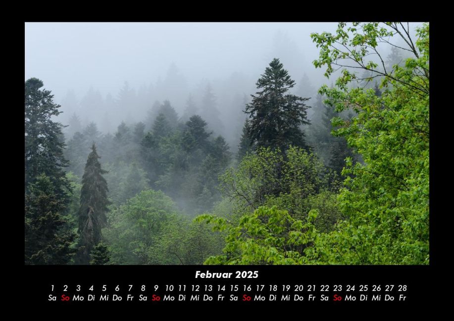 InsideView 6