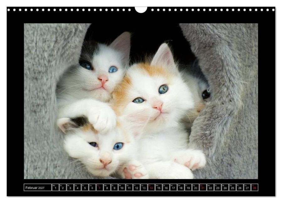 InsideView 7