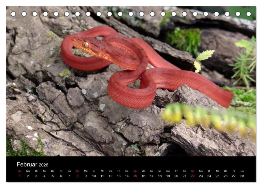 InsideView 7