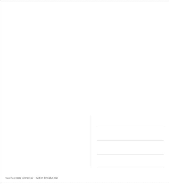 InsideView 2
