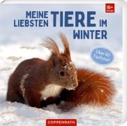 Cover-Bild zum Titel 'Meine liebsten Tiere im Winter' von ''