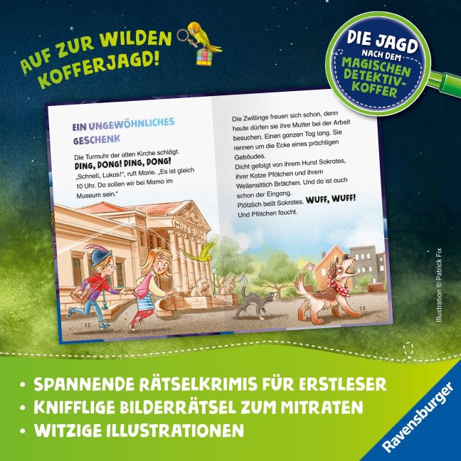 InsideView 1