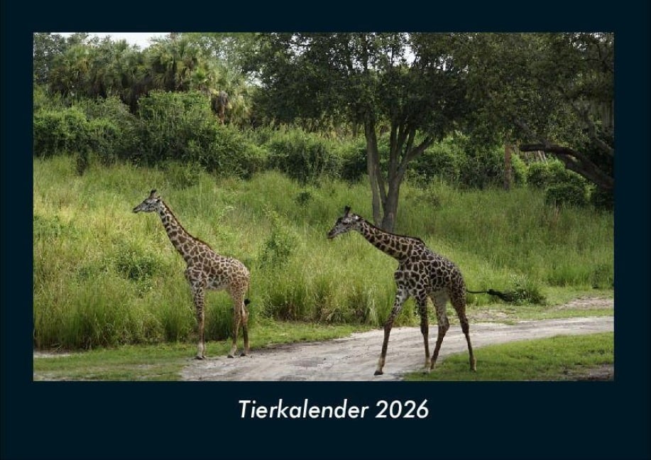 Tierkalender 2026 Fotokalender DIN A4 - Tobias Becker