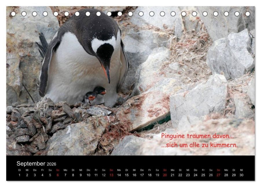 InsideView 14