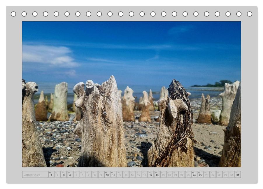 InsideView 6
