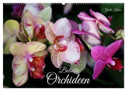 Cover-Bild zum Titel 'Beliebte Orchideen (Wandkalender 2026 DIN A2 quer), CALVENDO Monatskalender' von 'Gisela Kruse'