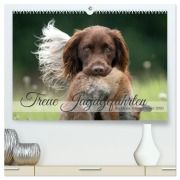 Cover-Bild zum Titel 'Treue Jagdgefährten Der kleine Münsterländer (hochwertiger Premium Wandkalender 2026 DIN A2 quer), Kunstdruck in Hochglanz' von 'Yvonne Streib'