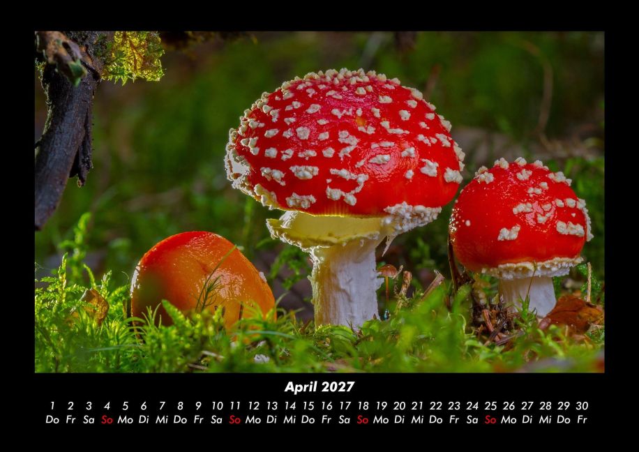 InsideView 8