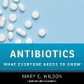 Antibiotics: What Everyone Needs to Know - Mary E. Wilson