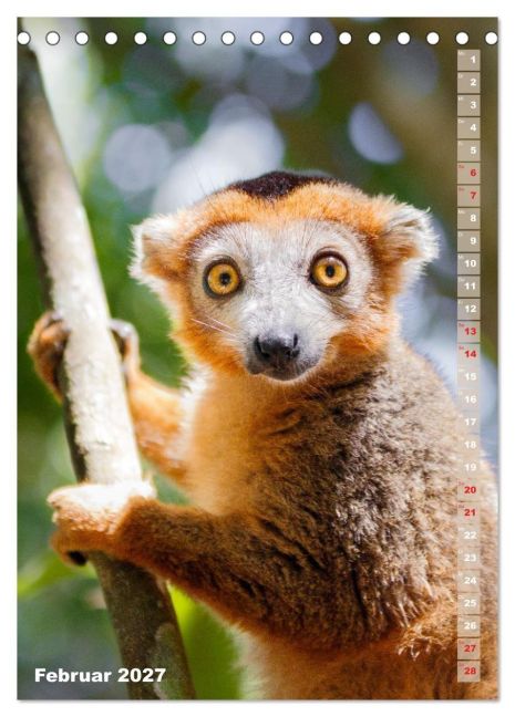 InsideView 7