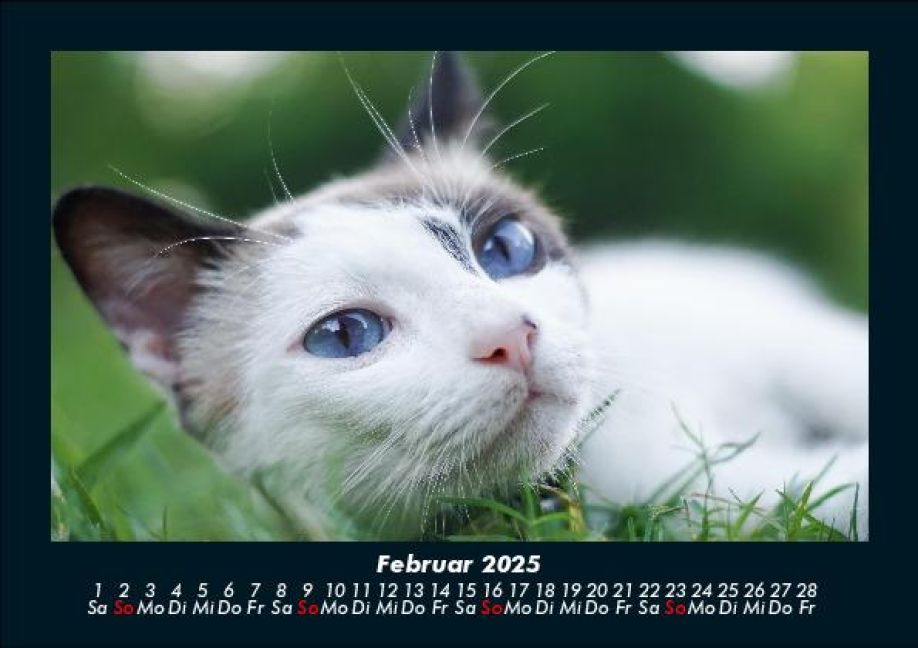 InsideView 6