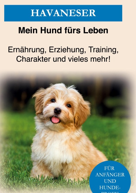 Havaneser - Mein Hund Fürs Leben Ratgeber