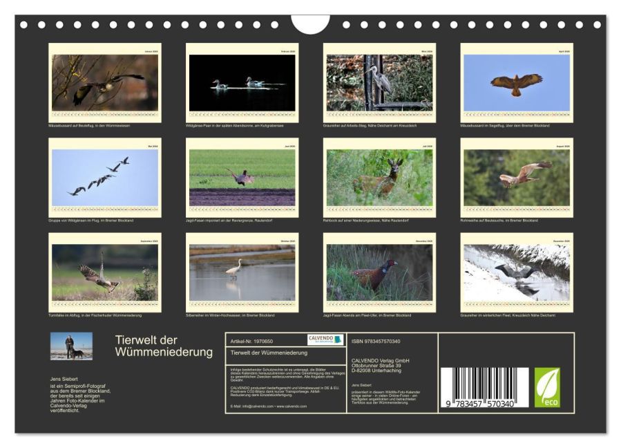 InsideView 5