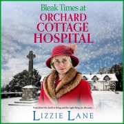 Cover-Bild zum Titel 'Bleak Times at Orchard Cottage Hospital' von 'Lizzie Lane'