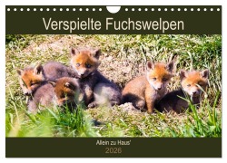 Cover-Bild zum Titel 'Verspielte Fuchswelpen - Allein zu Haus' (Wandkalender 2026 DIN A4 quer), CALVENDO Monatskalender' von 'Janita Webeler'