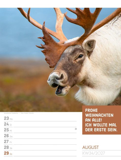 InsideView 38