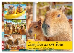 Cover-Bild zum Titel 'Capybaras on Tour. Wasserschweine als Weltenbummler (Wandkalender 2026 DIN A2 quer), CALVENDO Monatskalender' von 'Rose Hurley'