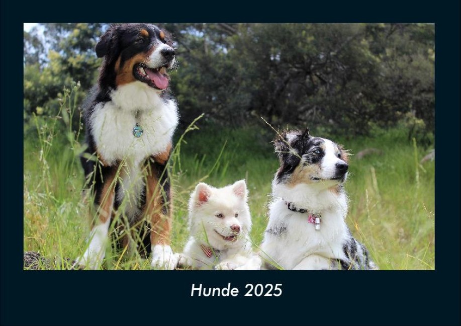 Hunde 2025 Fotokalender DIN A4 - Tobias Becker