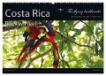 Costa Rica Blickwinkel 2025 (Wandkalender 2025 DIN A2 quer), CALVENDO Monatskalender - The Flying Bushhawks