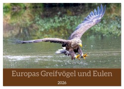 Cover-Bild zum Titel 'Europas Greifvögel und Eulen (Wandkalender 2026 DIN A3 quer), CALVENDO Monatskalender' von 'Manuel Weiter'