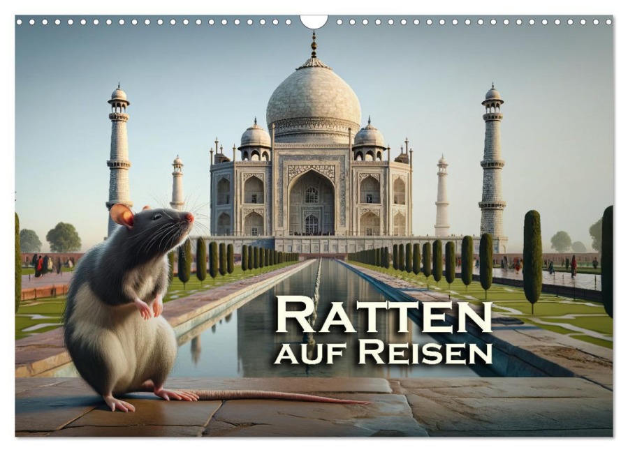 Ratten auf Reisen (Wandkalender 2026 DIN A3 quer), CALVENDO Monatskalender - Peter R. Stuhlmann