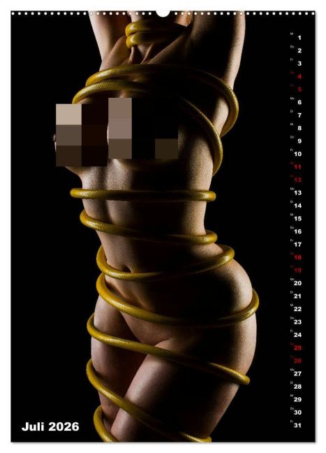 InsideView 12