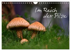 Cover-Bild zum Titel 'Im Reich der Pilze (Wandkalender 2026 DIN A4 quer), CALVENDO Monatskalender' von ''