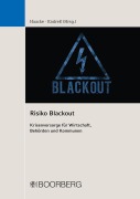 Cover-Bild zum Titel 'Risiko Blackout' von ''