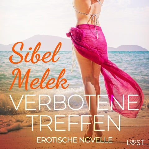 Verbotene Treffen - Erotische Novelle - Sibel Melek