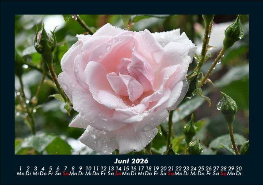InsideView 10